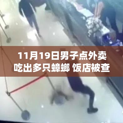 男子外賣驚現多只蟑螂引發食品安全警鐘事件,飯店遭查背后真相揭秘