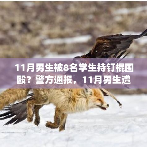 警方通報,11月男生遭學生持釘棍圍毆事件深度解析與解讀