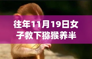 女子救助獼猴半年后面臨法律困境,動物救助行為與法律邊界的探討
