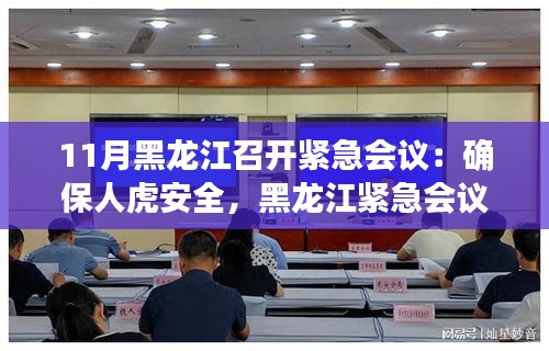 黑龍江召開緊急會議，共筑人虎安全防線，守護家園和諧安寧