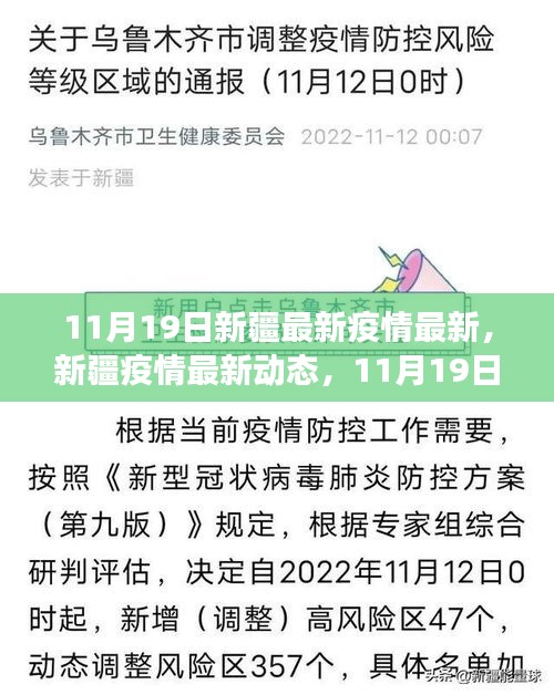 新疆疫情最新動(dòng)態(tài),11月19日抗疫進(jìn)展與影響概述