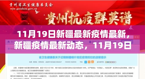 新疆疫情最新動(dòng)態(tài),11月19日抗疫進(jìn)展與影響概述