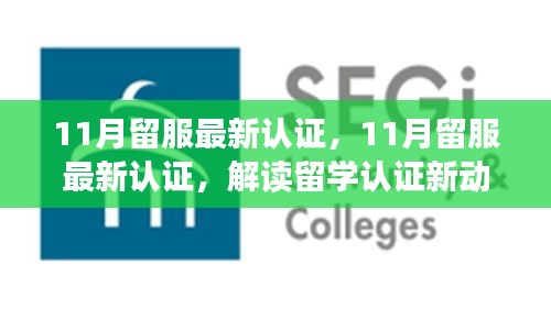 解讀最新留服認證動態，助力留學生職業發展，十一月留學認證更新概覽