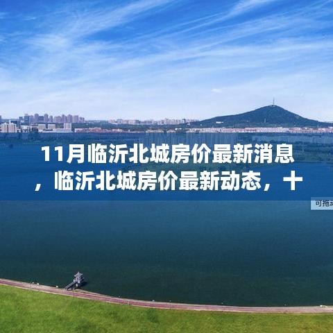 臨沂北城房價最新動態(tài)與深度觀察，十一月房價消息一覽