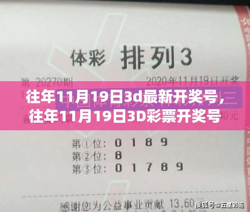 往年11月19日3D彩票開獎號碼詳解，評測、特性、用戶體驗、競品對比及用戶分析