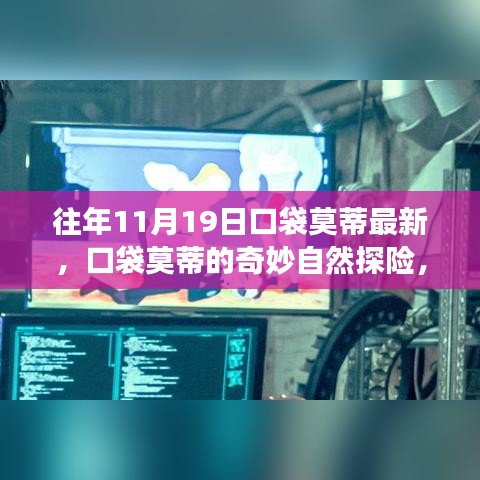 口袋莫蒂奇妙自然探險,11月19日的秘密之旅更新發(fā)布