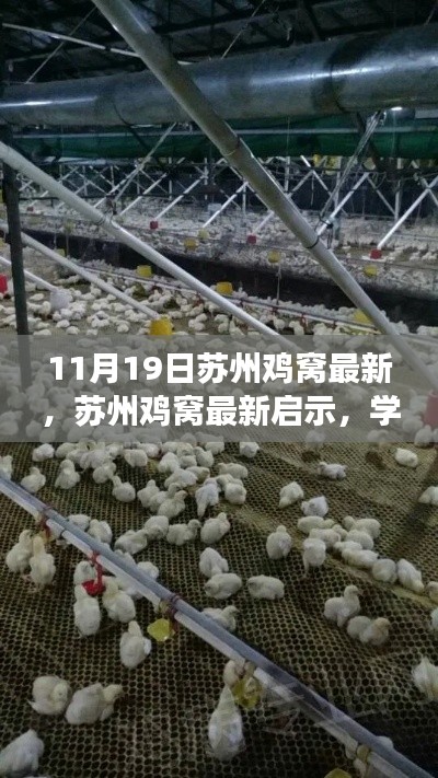 蘇州雞窩最新啟示,學習變化的力量,鑄就自信與成就之路