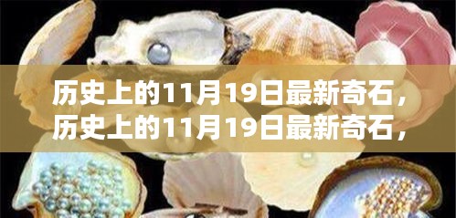 歷史上的11月19日，最新奇石的獨特魅力與深度解析