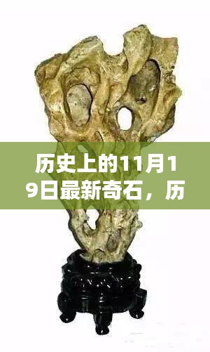 歷史上的11月19日,最新奇石的獨特魅力與深度解析