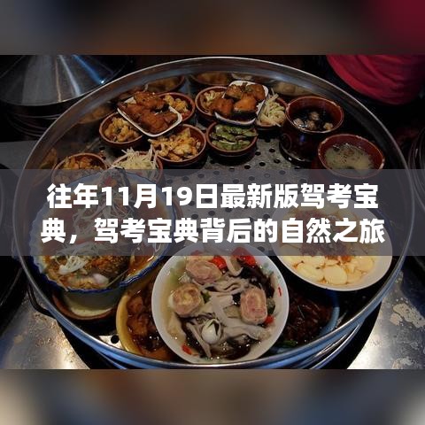 駕考寶典背后的自然之旅,心靈與風景的奇妙探險