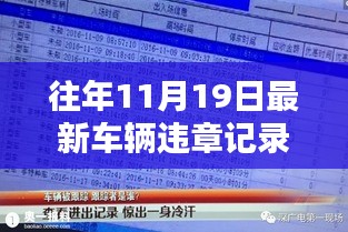 意外驚喜!往年11月19日車輛違章記錄查詢結果揭曉