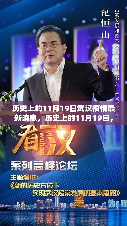 武漢疫情回顧,歷史上的11月19日最新消息解析