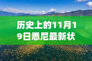 歷史上的11月19日,悉尼最新狀況與秘境探索,自然美景中的心靈之旅