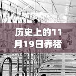 歷史上的11月19日，養(yǎng)豬場用地新政策解讀與操作指南，最新政策解讀及操作指南