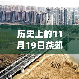歷史上的11月19日,燕郊徐尹路最新進展全面綜述