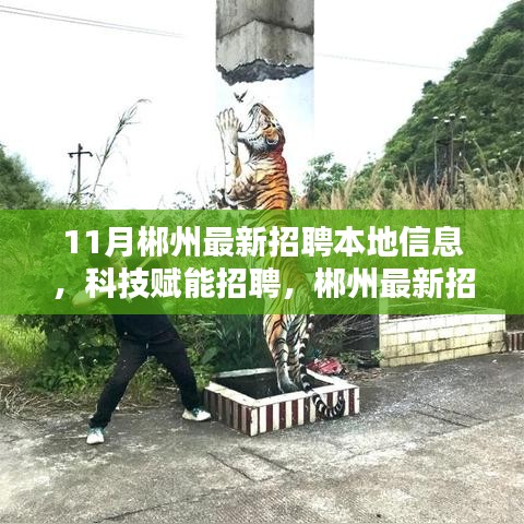 科技賦能新時代招聘,郴州最新招聘信息匯總