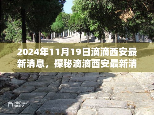 滴滴西安最新動態(tài)揭秘，小巷深處的隱藏瑰寶（2024年11月19日更新）