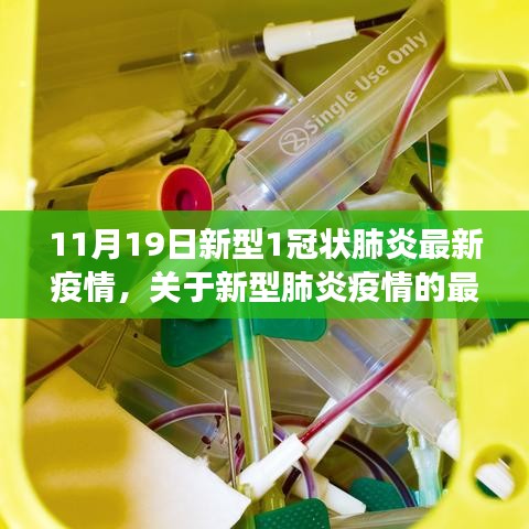 11月19日新型肺炎疫情最新動態(tài)觀察報告