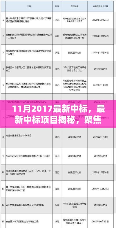揭秘2017年11月最新中標項目,三大要點深度解析