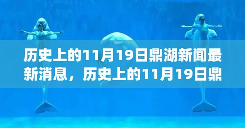 歷史上的11月19日鼎湖新聞回顧,最新消息一覽
