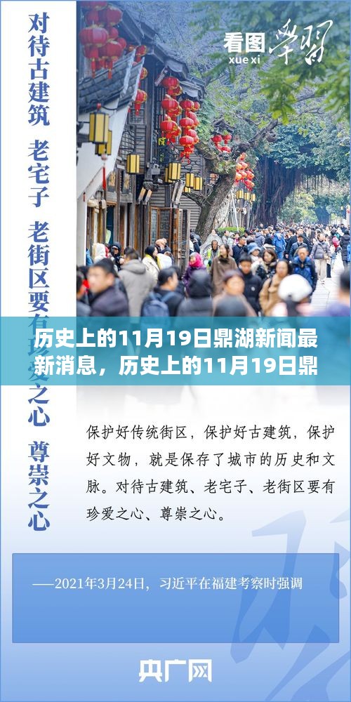 歷史上的11月19日鼎湖新聞回顧,最新消息一覽