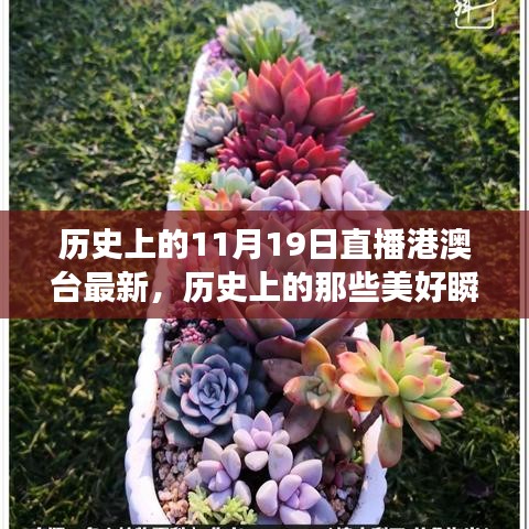 歷史上的美好瞬間,探尋自然美景與心靈的寧靜港灣(直播港澳臺最新)