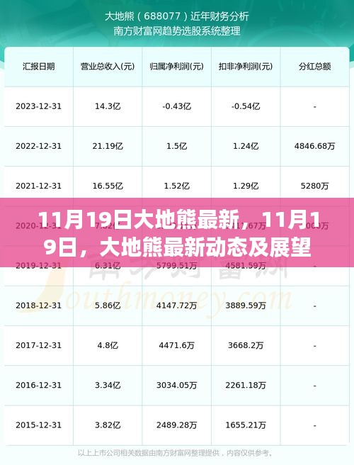 大地熊最新動態及展望(11月19日更新)