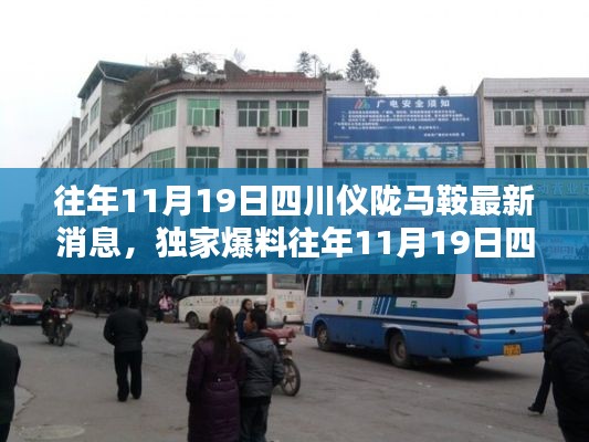 獨家揭秘，往年11月19日四川儀隴馬鞍最新消息全解析