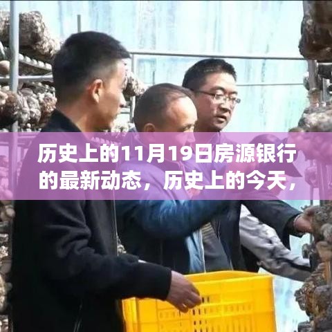 房源銀行新篇章,歷史性的11月19日動態,變化中的自信與成就之旅