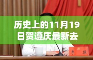 賀遵慶的新征程與變化力量,學習帶來的自信與成就感揭秘其最新去向。