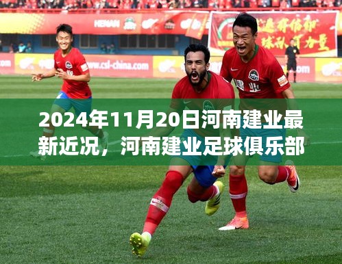 河南建業足球俱樂部最新動態及參與指南，2024年11月更新版