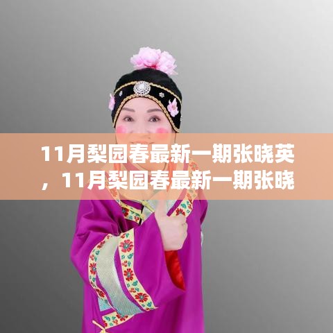 11月梨園春張曉英最新一期表演賞析與學(xué)習(xí)指南