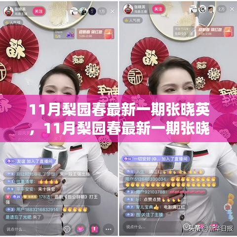 11月梨園春張曉英最新一期表演賞析與學習指南