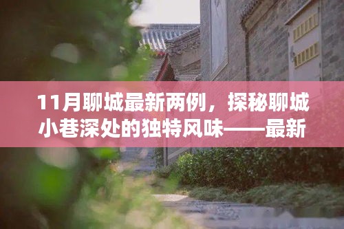 探秘聊城小巷深處,最新發(fā)現(xiàn)的兩家隱藏小店——11月聊城最新兩例獨特風味小店