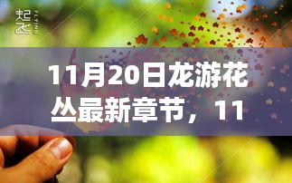 11月20日龍游花叢最新章節,深度測評與詳細介紹