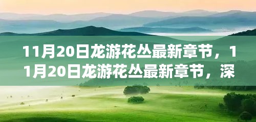 11月20日龍游花叢最新章節,深度測評與詳細介紹