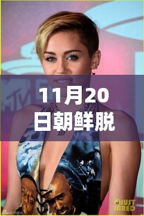 揭秘,最新朝鮮脫北動態與真相深度解析(11月20日更新)