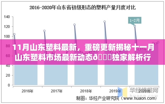 揭秘山東塑料市場最新動態與行業趨勢獨家解析