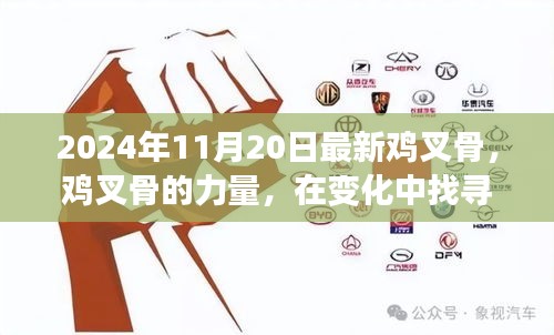 勵志之旅,雞叉骨的力量與自信成就感的探尋之路(2024年11月20日最新)