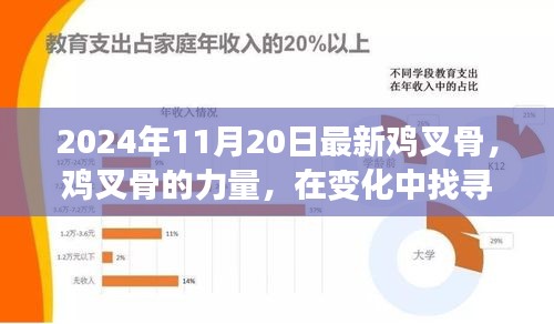 勵志之旅,雞叉骨的力量與自信成就感的探尋之路(2024年11月20日最新)