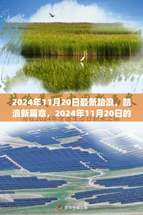 2024年11月20日踏浪新篇章,心靈與自然之旅