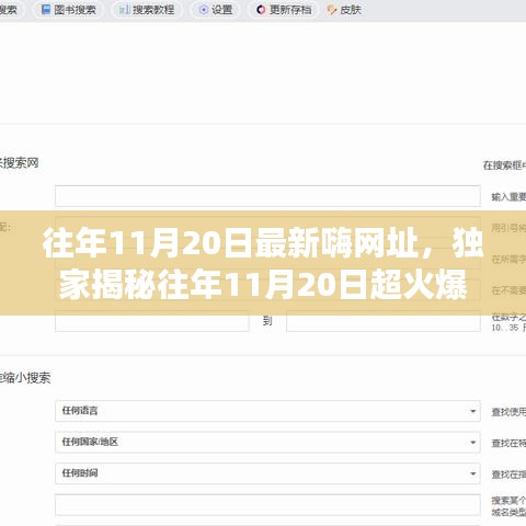 獨家揭秘，往年11月20日超火爆嗨網址大放送，嗨不停歇的狂歡盛宴！
