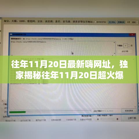 獨家揭秘,往年11月20日超火爆嗨網址大放送,嗨不停歇的狂歡盛宴!