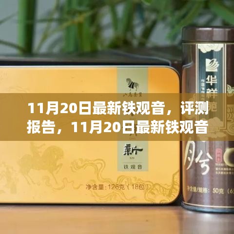 11月20日鐵觀音深度評測報告,品質、體驗與市場對比解析