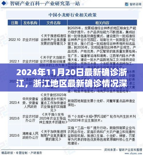 浙江最新確診深度解析，挑戰與機遇并存——浙江地區疫情報告（2024年11月20日）