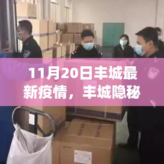 豐城隱秘小巷，疫情下的獨特風味探秘——最新疫情觀察報告（11月20日）