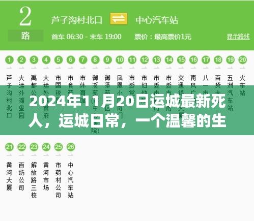 溫馨告別,友情長存——運(yùn)城日常的生命告別故事(2024年11月20日最新)