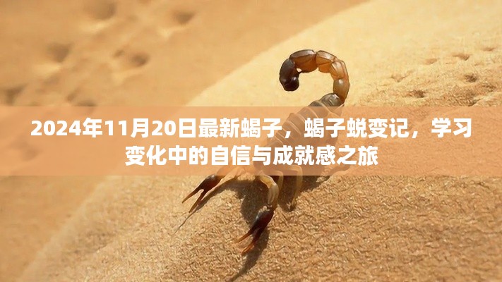蝎子蛻變之旅,學習變化中的自信與成就感探尋(2024年11月20日最新)