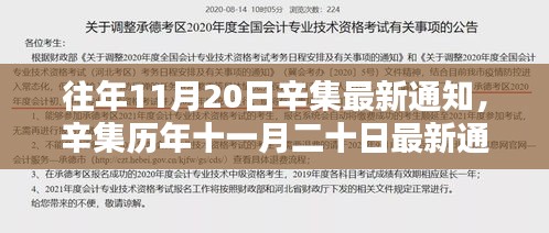 辛集歷年11月20日通知深度解析,背景、影響與地位探討