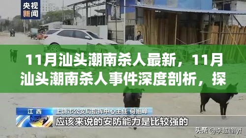 汕頭潮南殺人事件深度剖析,探究背后的觀點與立場